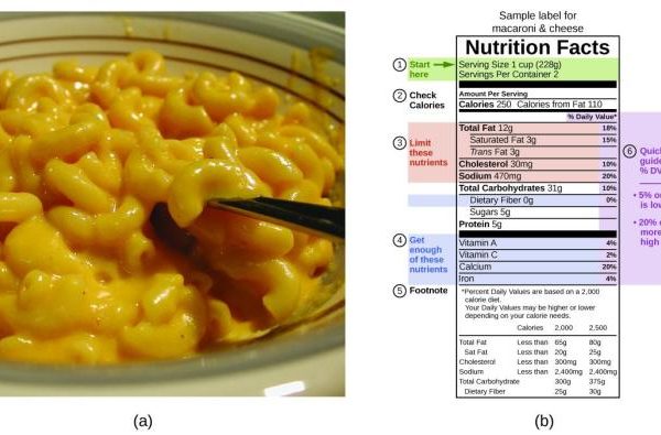 Nutrition facts for macaroni and cheese