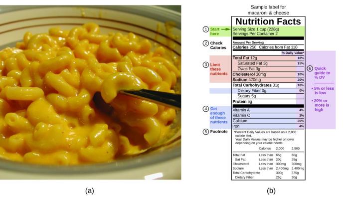 Nutrition facts for macaroni and cheese