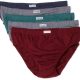 Fruit of the loom men's fashion briefs